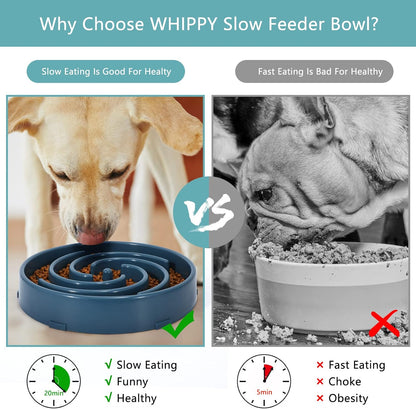 Calm Pup Slow Feeder Maze Bowl