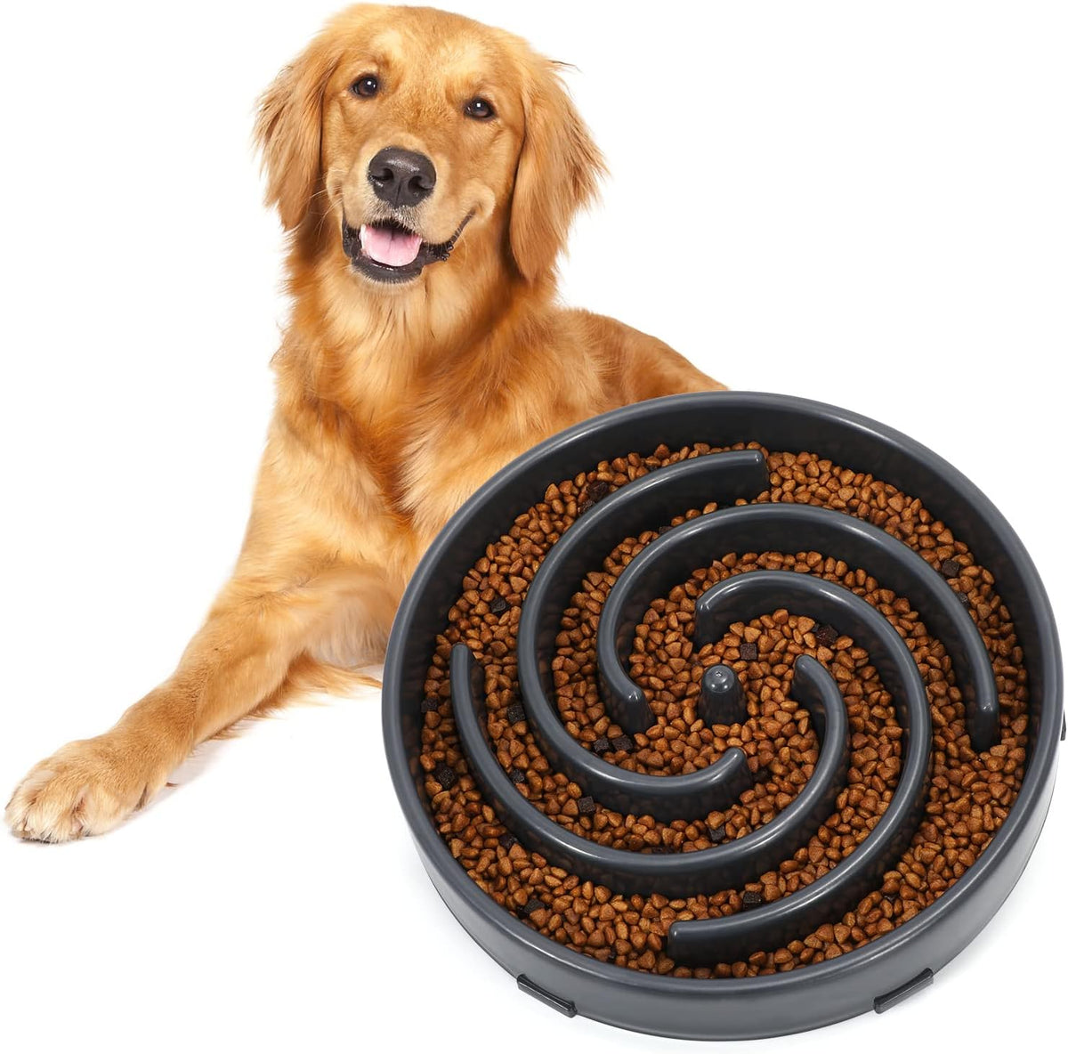 Calm Pup Slow Feeder Maze Bowl